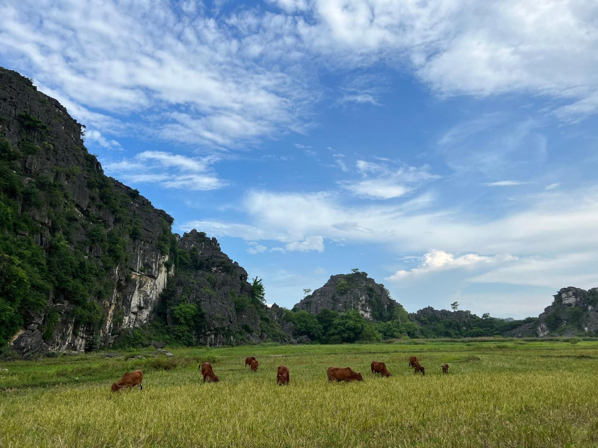 Ninh Binh Family Homestay Eksteriør bilde