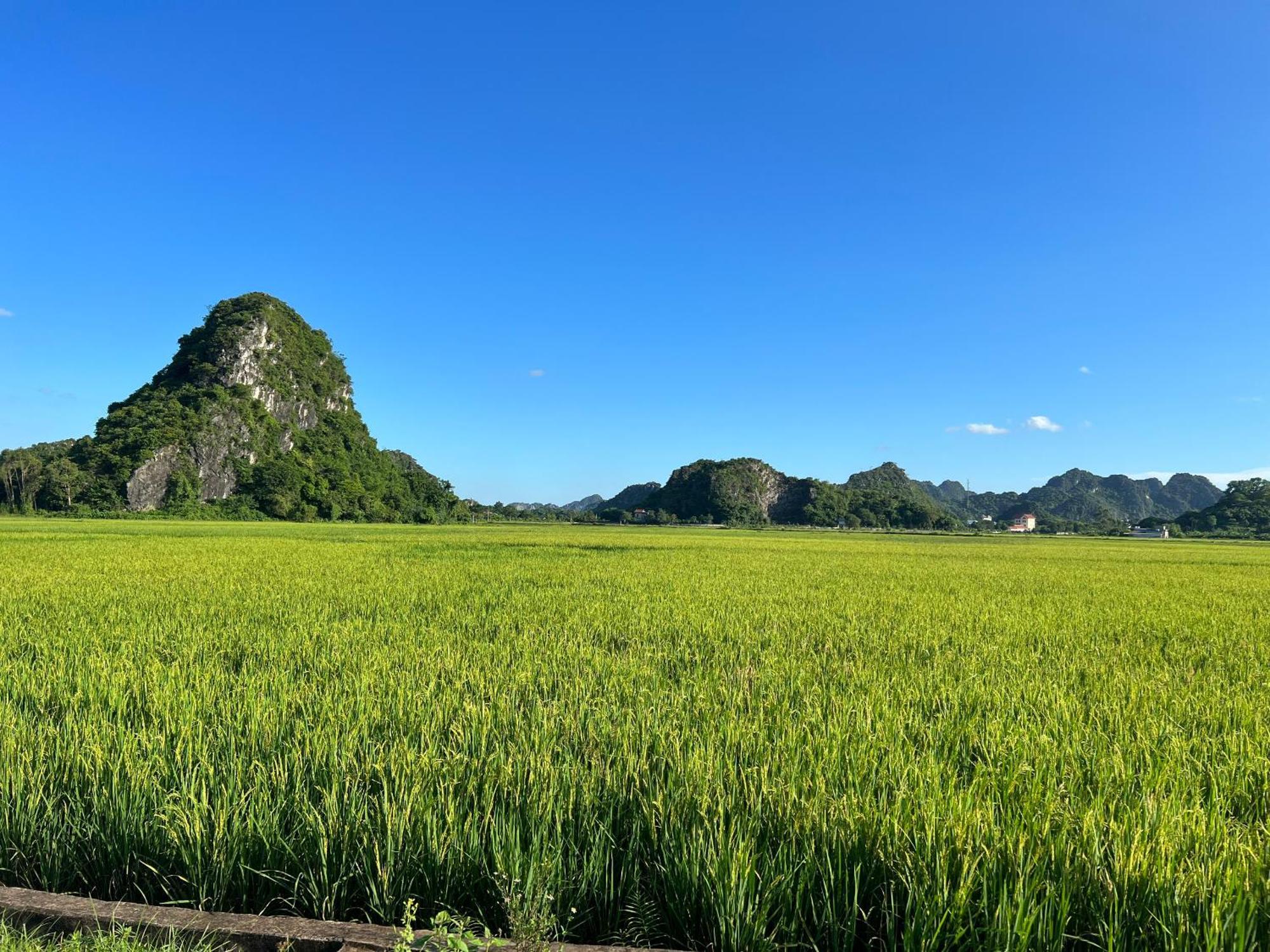 Ninh Binh Family Homestay Eksteriør bilde