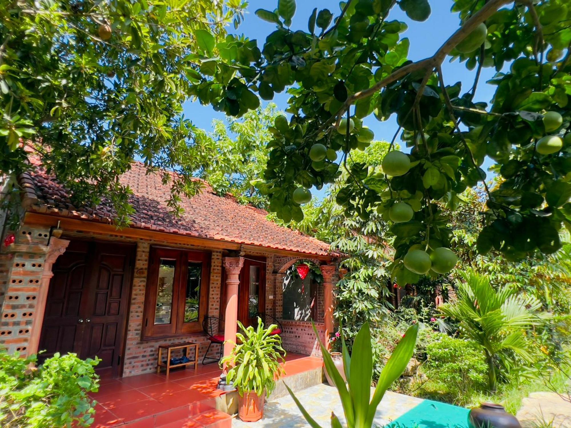 Ninh Binh Family Homestay Eksteriør bilde
